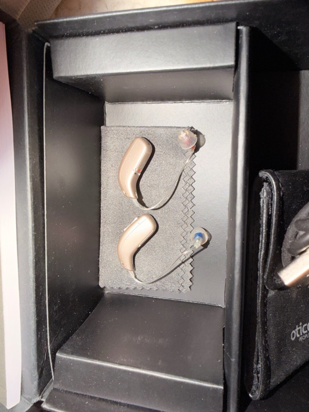 Behind-the-Ear Hearing Aids in Beige